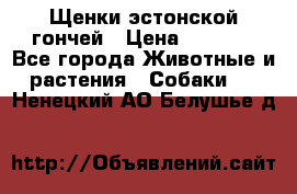 Щенки эстонской гончей › Цена ­ 7 000 - Все города Животные и растения » Собаки   . Ненецкий АО,Белушье д.